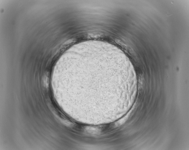 X0000088020174200706011333