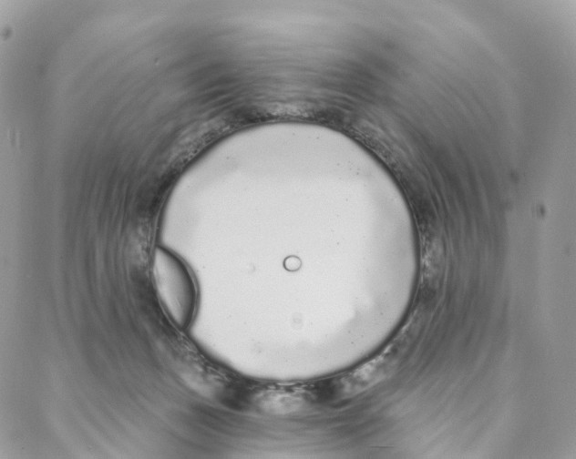 X0000088020175200706011333