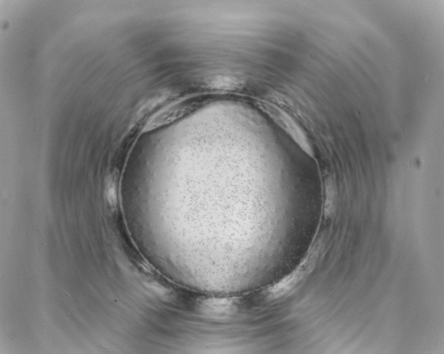 X0000088020176200706011333