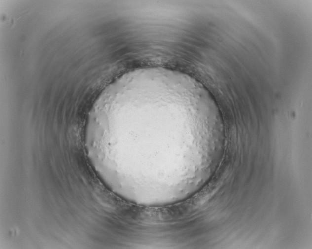 X0000088020177200706011333