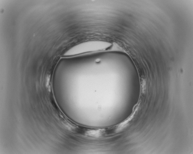 X0000088020178200706011333