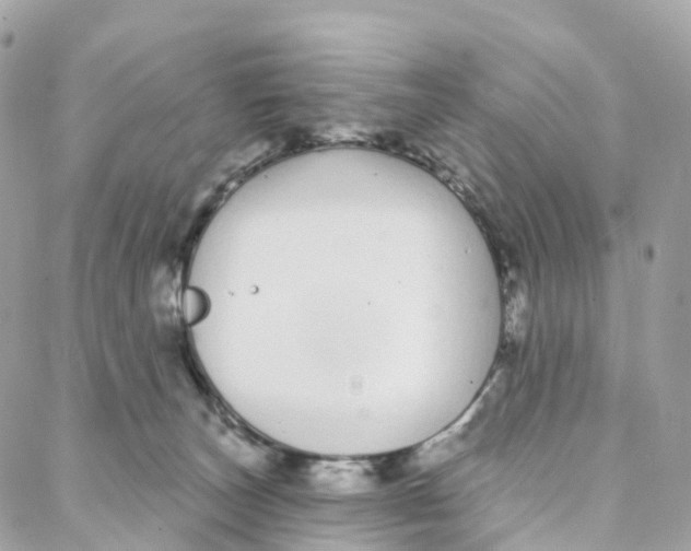 X0000088020179200706011333