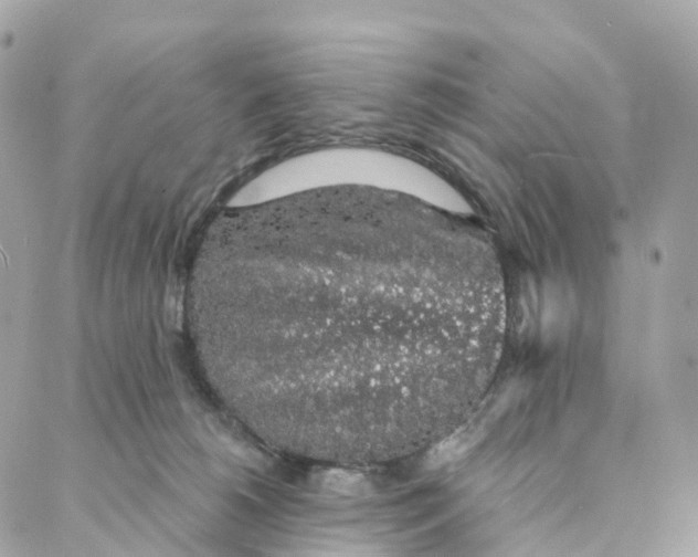 X0000088020180200706011333