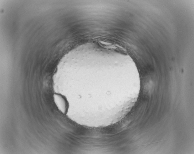 X0000088020181200706011333