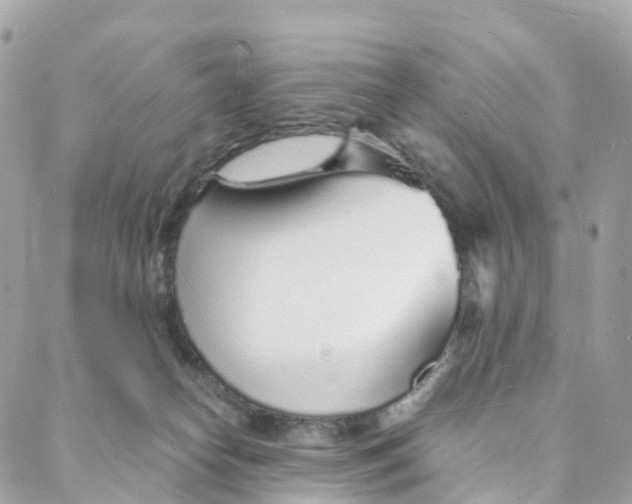 X0000088020182200706011333