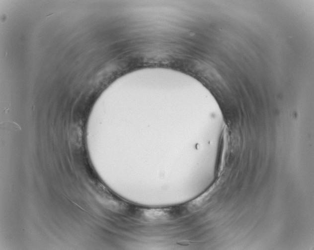 X0000088020183200706011333