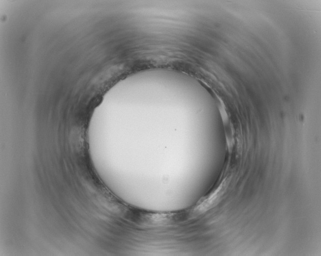 X0000088020184200706011333