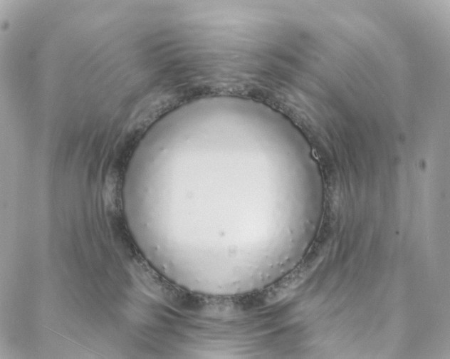 X0000088020185200706011333