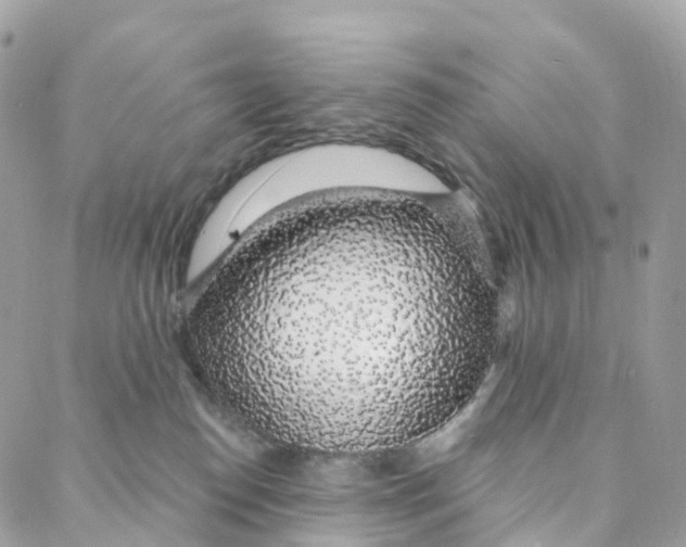 X0000088020186200706011333