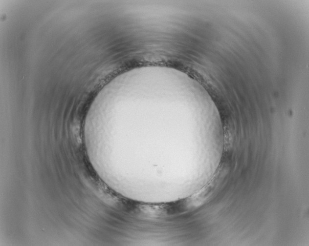 X0000088020187200706011333