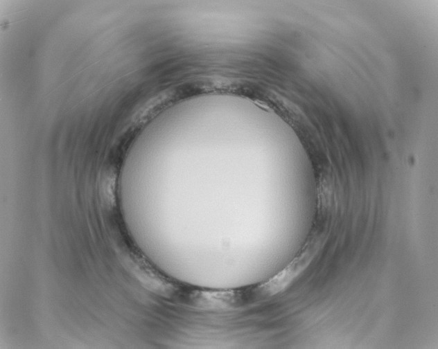 X0000088020188200706011333