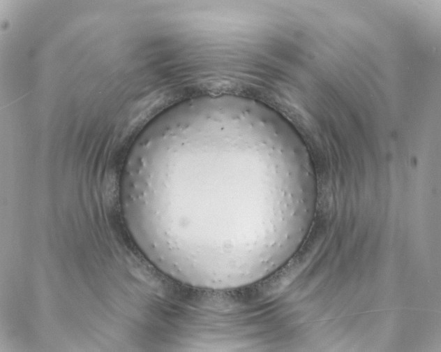 X0000088020189200706011333