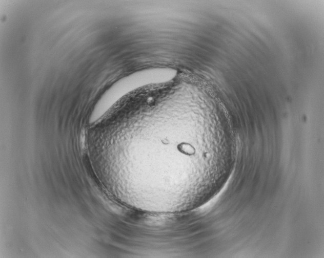 X0000088020190200706011333