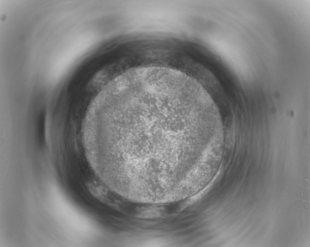 X0000088020191200706011333