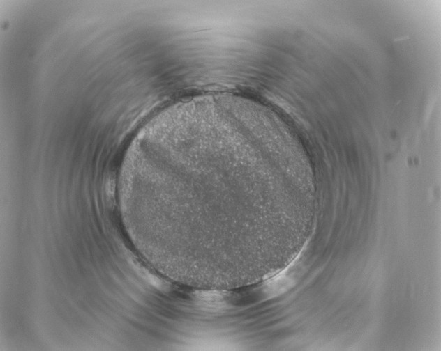 X0000088020192200706011333