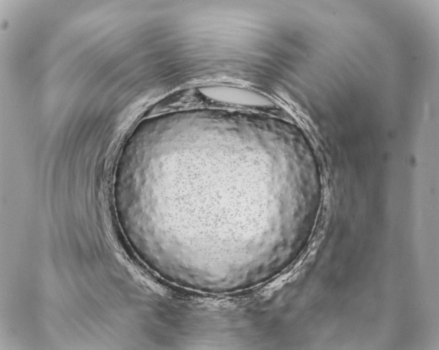 X0000088020193200706011333