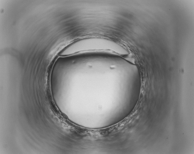 X0000088020194200706011333