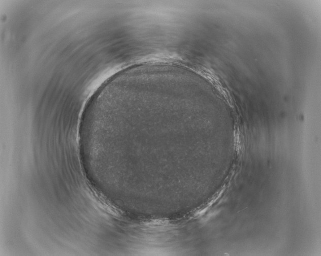 X0000088020196200706011333