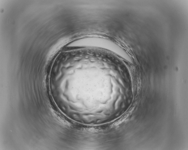 X0000088020197200706011333