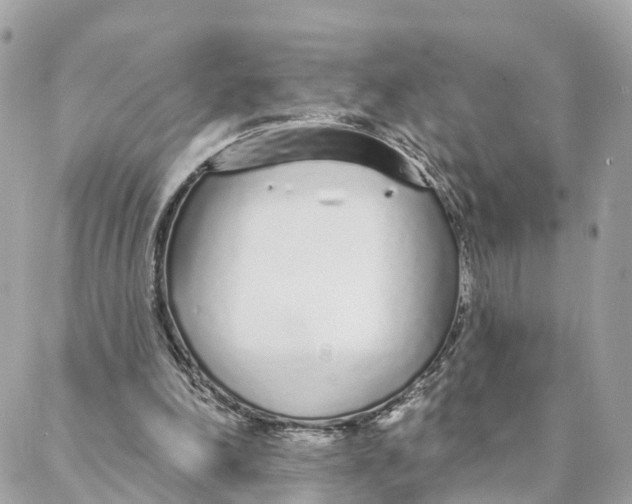 X0000088020198200706011333