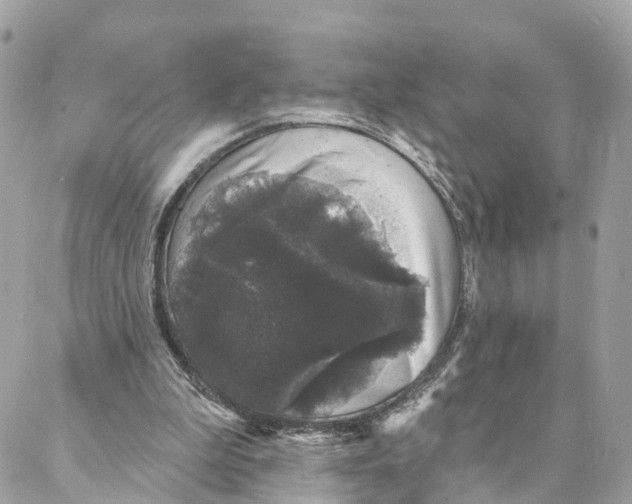 X0000088020199200706011333