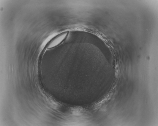 X0000088020200200706011333