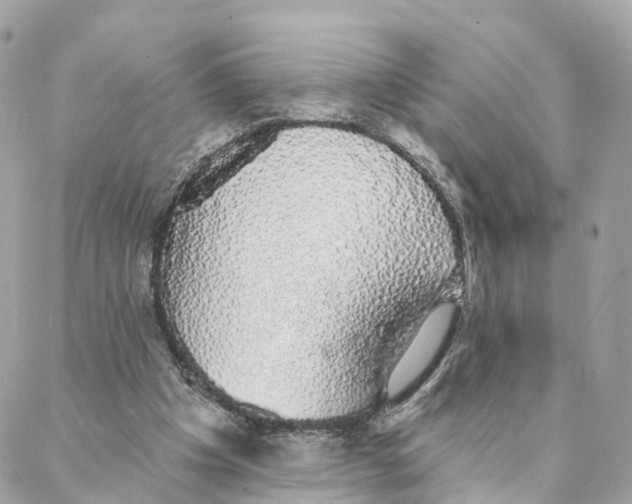 X0000088020201200706011333