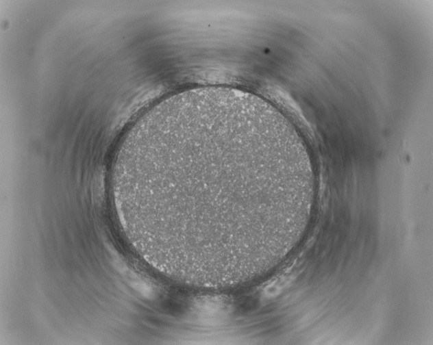 X0000088020202200706011333