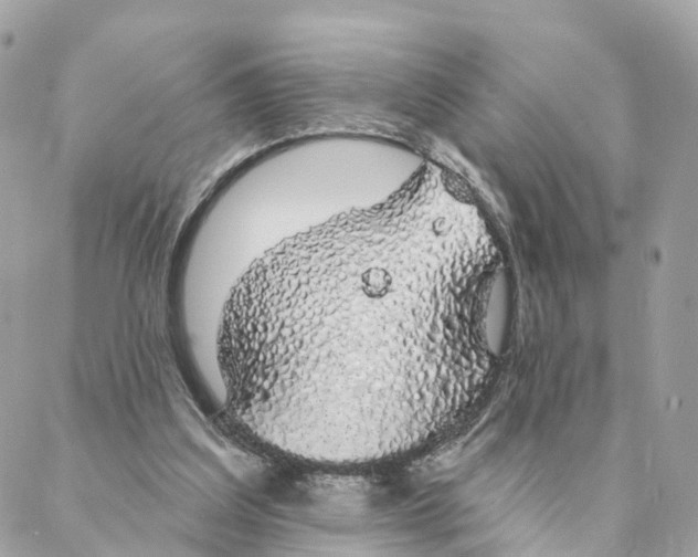 X0000088020203200706011332