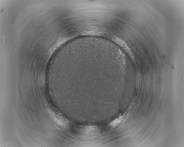 X0000088020204200706011332