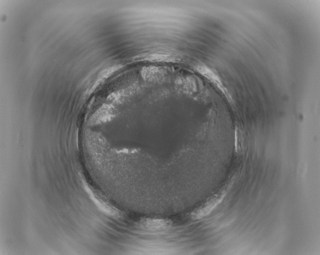 X0000088020205200706011332