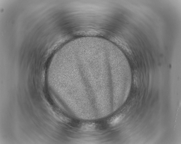 X0000088020206200706011332