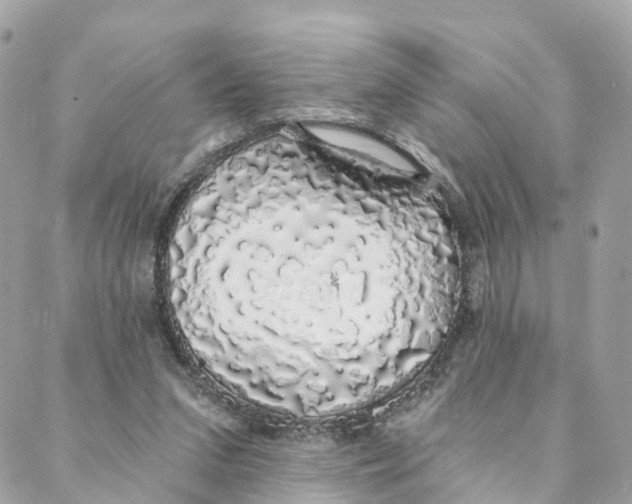 X0000088020207200706011332