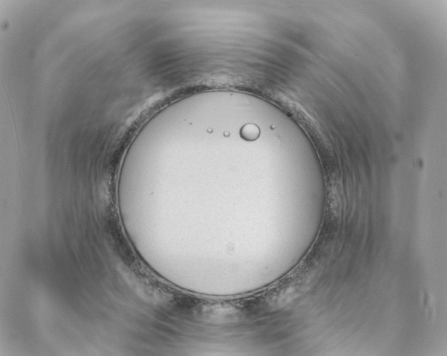 X0000088020208200706011332