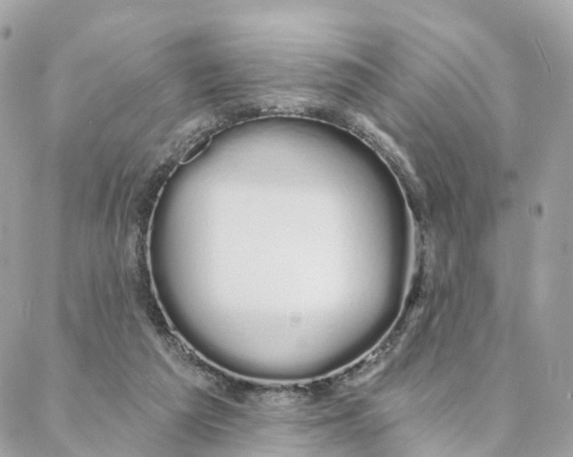 X0000088020209200706011332