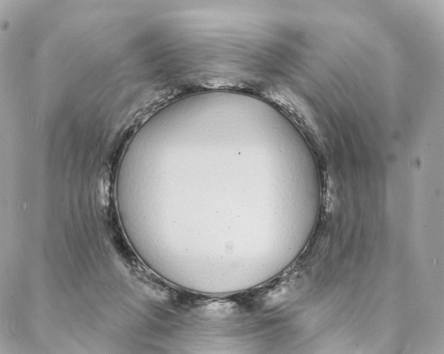 X0000088020210200706011332