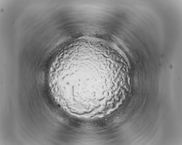 X0000088020211200706011332