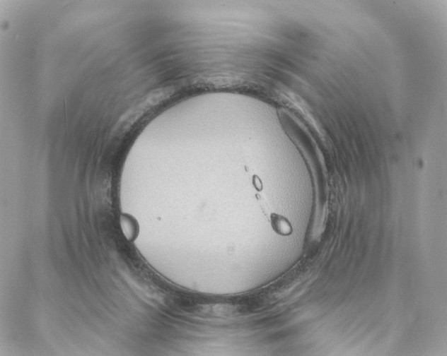 X0000088020212200706011332