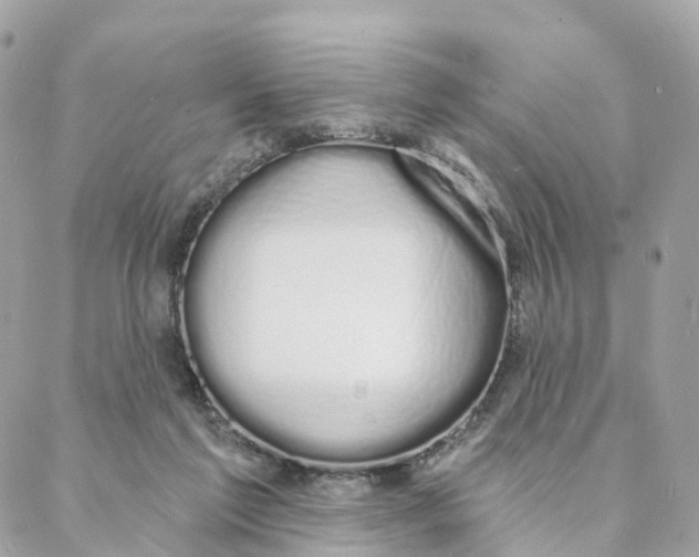 X0000088020213200706011332