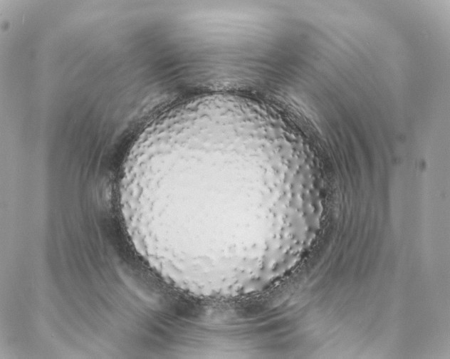 X0000088020214200706011332