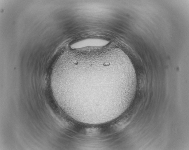 X0000088020216200706011332