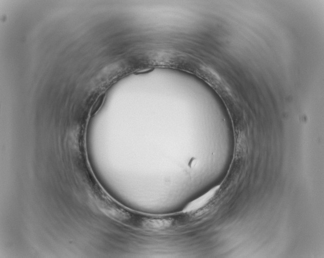 X0000088020217200706011332