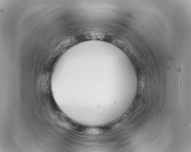 X0000088020218200706011332