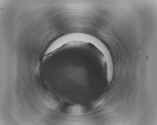 X0000088020219200706011332