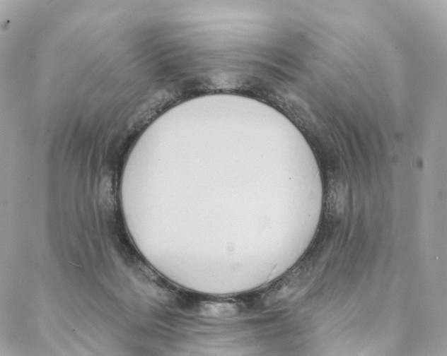 X0000088020220200706011332