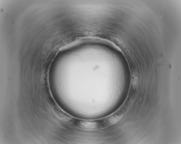 X0000088020221200706011332