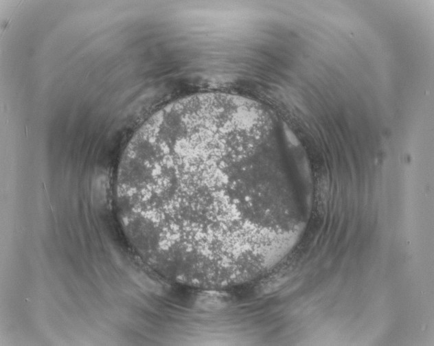 X0000088020222200706011332