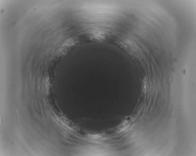 X0000088020223200706011332