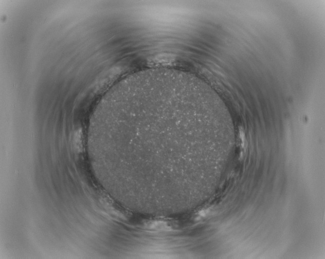 X0000088020224200706011332