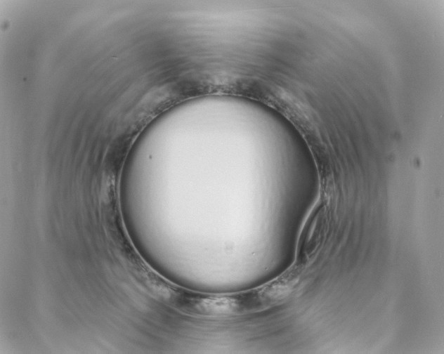 X0000088020225200706011332